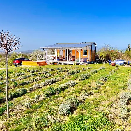 Bohemian Eco Apartment Kisapati