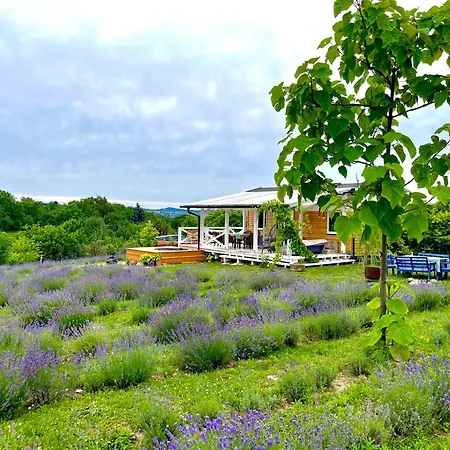 Apartamento Bohemian Eco