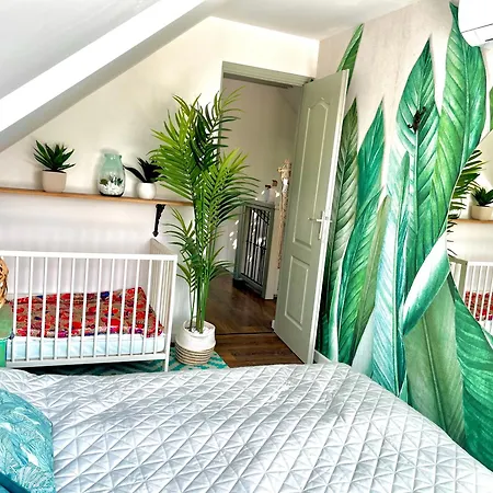 Bohemian Eco * Kisapati