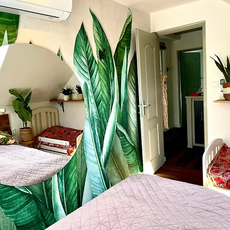 Bohemian Eco Kisapati