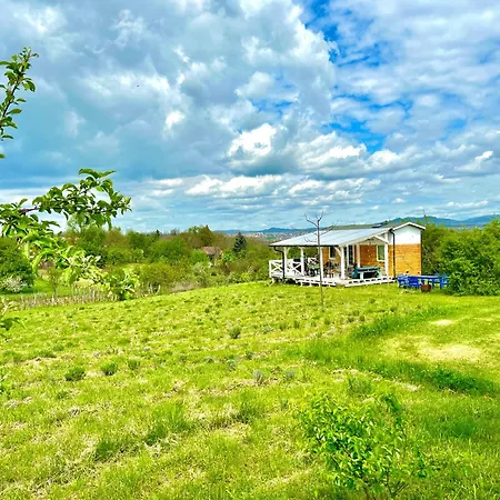 Apartamento Bohemian Eco *