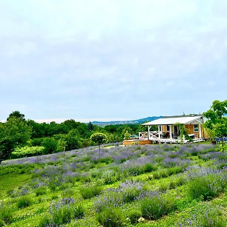 Bohemian Eco * Kisapati