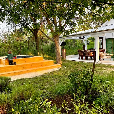 Apartment Bohemian Eco *